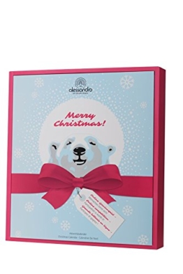 Alessandro: Ice Bear Adventskalender 2017 Xmas - Limitierte Edition! - 1